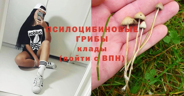 Альфа ПВП Нефтекумск